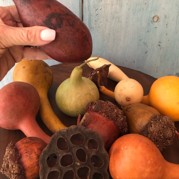 Bundle of beautiful harvest items in shades of sienna, brown, yellow, & green - Picture 9 of 16